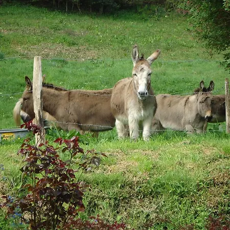 La Fossardiere 2*